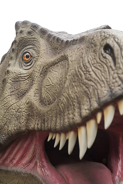 istock Tyrannosaurus Rex close up 515143195