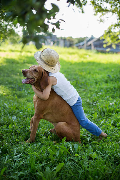 istock Little boy and Hungarian Vizsla 515143273