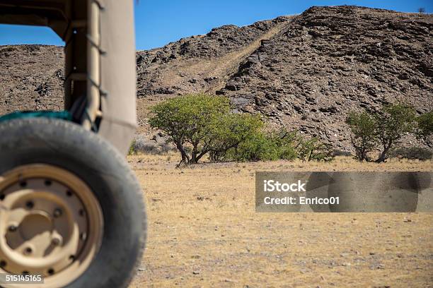 Panorama In Namibia Stock Photo - Download Image Now - Africa, Animal Wildlife, Arid Climate