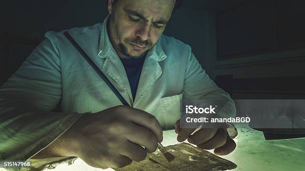 Restauration Old Book Stock Photo - Download Image Now - Adult, Archaeology, Brushing