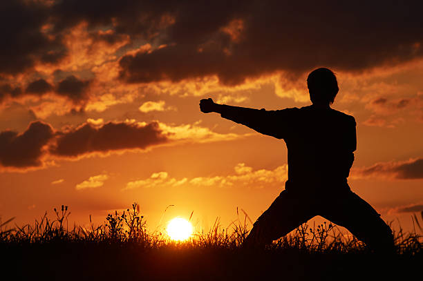 istock Man practicing karate on the grassy horizon at sunset. 515148008