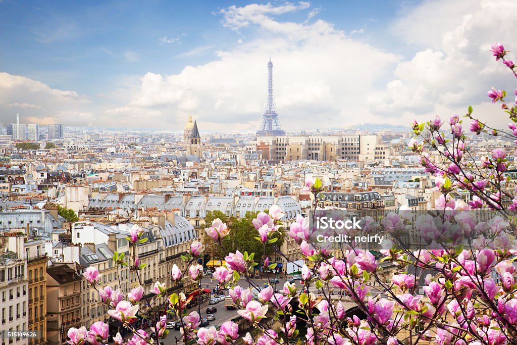 skyline of Paris with eiffel tower skyline of Paris city roofs with Eiffel Tower  with blooming magnolia spring tree, France Paris - France Stock Photo