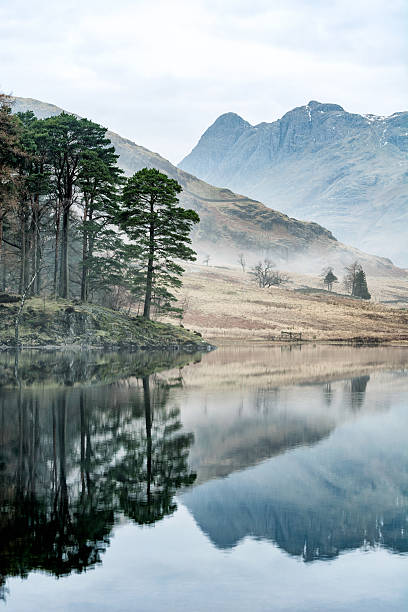 Mirror Reflections With Trees And Misty Mountains. A photograph taken at Blea Tarn in the English Lake District. The photograph features a set of trees reflected in the calm water with the Langdale Pikes to the right of the shot. Patchy fog/mist can be seen lingering on the side of the mountains. langdale pikes stock pictures, royalty-free photos & images