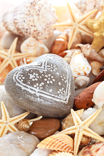 Heart shaped pebble against seashells background.