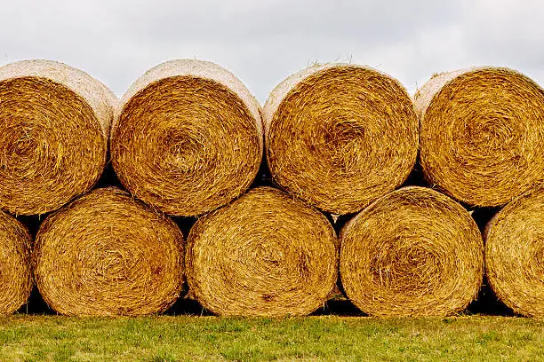 Hay bales on the field after harvest. A stack of hay.