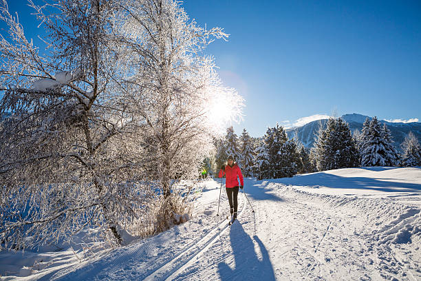 Woman cross country skiing on sunny day. stock photo