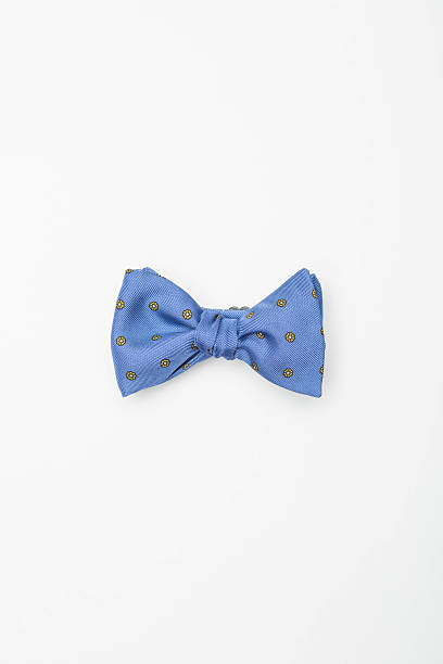 istock Blue isolated fashion bow-tie 515152386