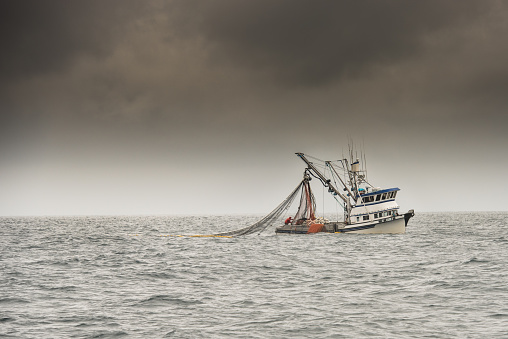 Alaskan fishing trawler making its way through icy water. The trawler is passing from left to right in the horizontal image. The image was taken on an overcast day in Prince William Sound, Alaska