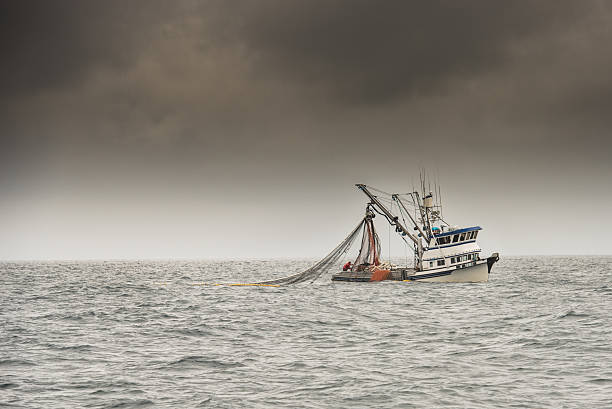 Alaska Fishing Trawler Alaskan fishing trawler making its way through icy water. The trawler is passing from left to right in the horizontal image. The image was taken on an overcast day in Prince William Sound, Alaska prince william sound photos stock pictures, royalty-free photos & images