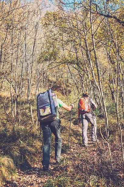 Photo of Senior Caucasian Paraglider and Photographer Walking in Forest, Alps, Europe