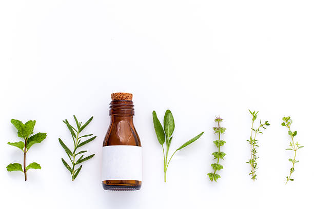 istock Bottle of essential oil with herb. 515154354