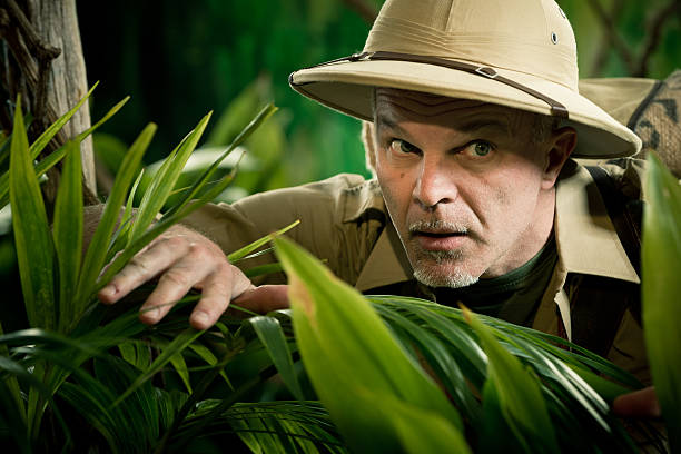 istock Adventurer peeking through plants 515154492
