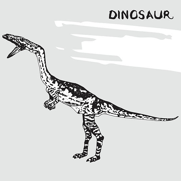 ilustrações, clipart, desenhos animados e ícones de dinosaur - lizard