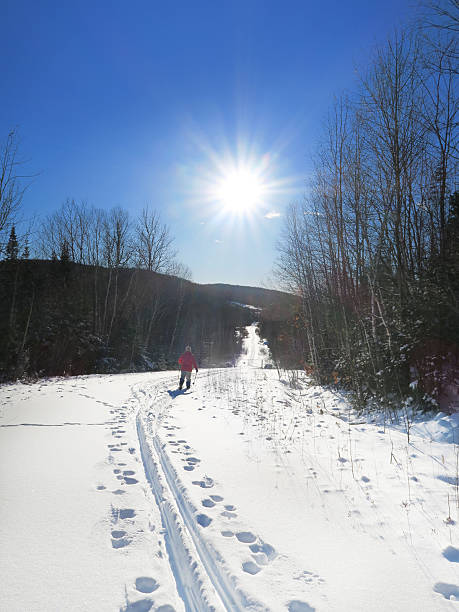 istock Cross Country Skiing 515157312