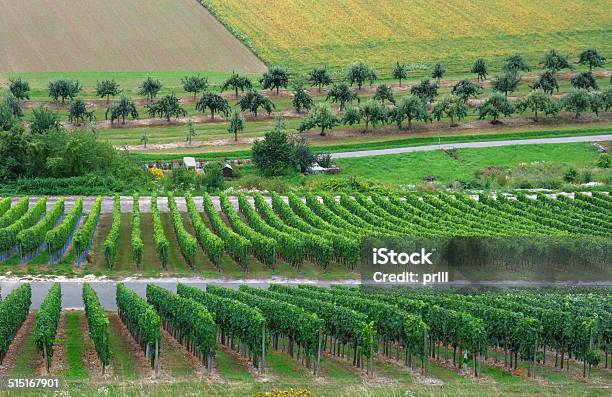 Kochertal In Hohenlohe Stock Photo - Download Image Now - Agriculture, Botany, Crop - Plant