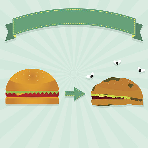 zgniłe kanapka - alimentary stock illustrations