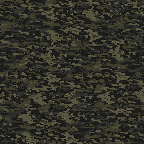 zielony wzór kamuflażowym - camouflage camouflage clothing military pattern stock illustrations