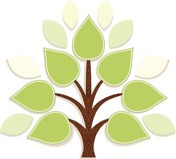 Infotree Decorative tree for infographics family tree chart stock illustrations