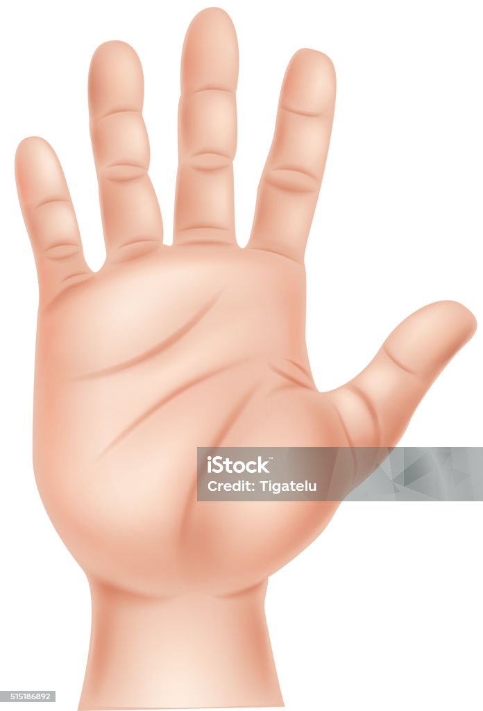 Cartoon Illustration Of Human Hand Stock Illustration - Download Image Now - Abstract, Anatomy, Animal - iStock Cartoon Illustration Of Human Hand Stock Illustration - Download Image Now - Abstract, Anatomy, Animal - iStock