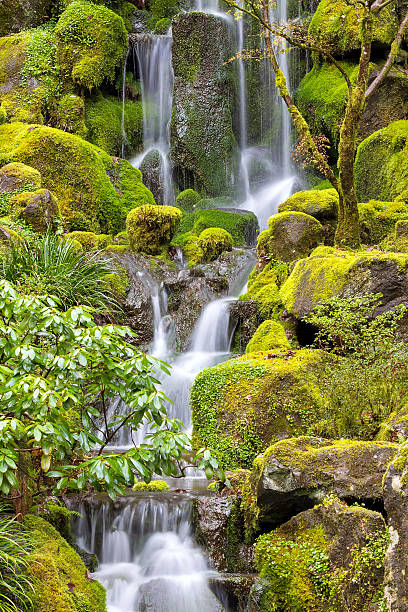 istock Waterfall at Japanese Garden in Spring 515191904