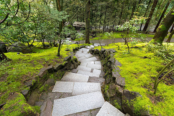istock Granite Stone Steps along Mossy Green Landscape 515192480