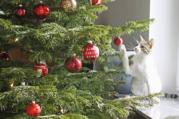 Cat playing with the christmas tree stock photo