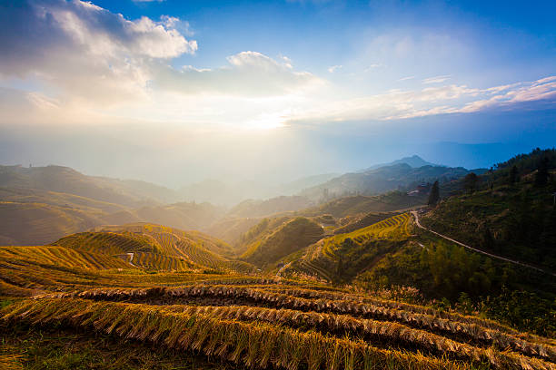 The longji rice terrace viewed from the viewpoint number 2 thousand layers to the heaven. Longsheng, China