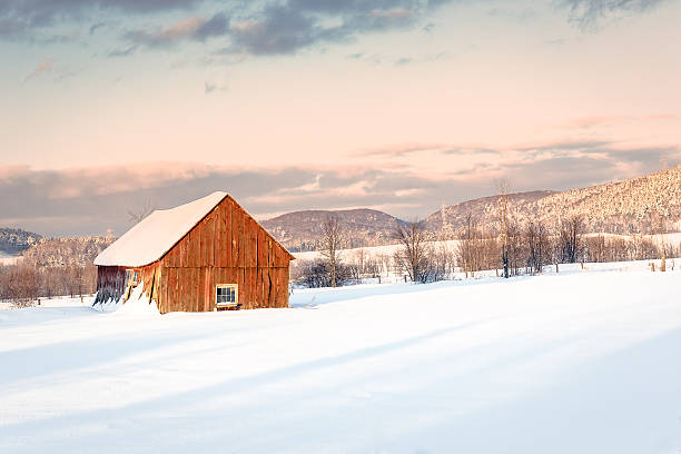 istock Cold day at home winter evening mountain 515197729