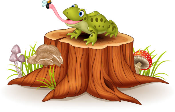 симпатичный лягушка внимание ширинка на одного поваленного - frog animal tongue animal eating stock illustrations