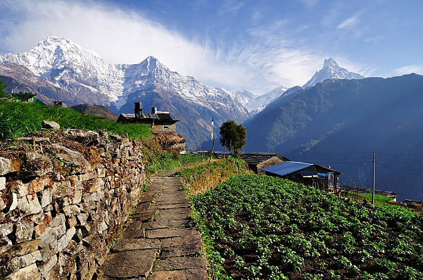 Annapurna mountain View from Ghnadruk Village Nepal Annapurna mountain View from Ghnadruk Village Nepal, Fish tail mountain and Annapurna mountain. annapurna conservation area photos stock pictures, royalty-free photos & images