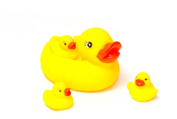 istock Rubber yellow ducks family 515200845