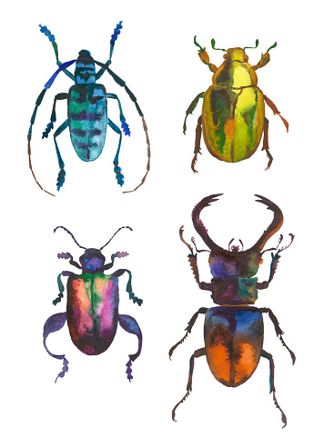 set of green watercolor beetles