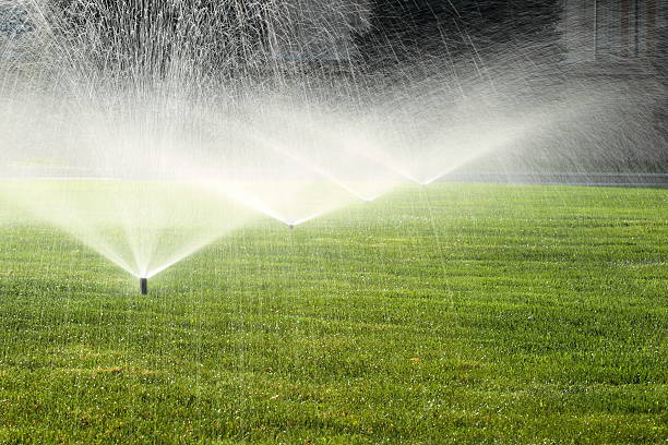 istock garden sprinkler on the green lawn 515203719