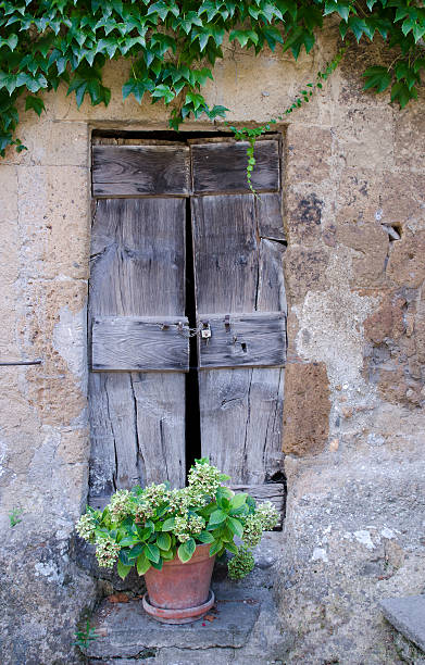 istock Wooden door 515220717