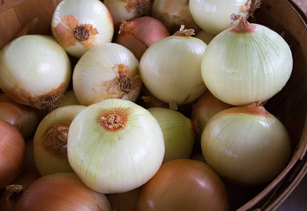 A close-up shot of a bushel basket of beautiful onions at a farmer's market.