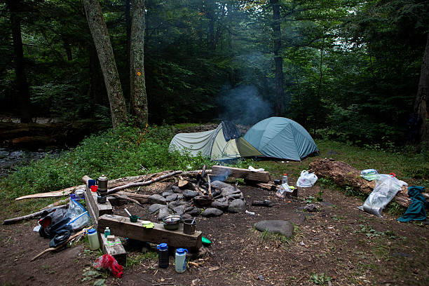 istock Campsite deep in the forest in Catskills 515222535