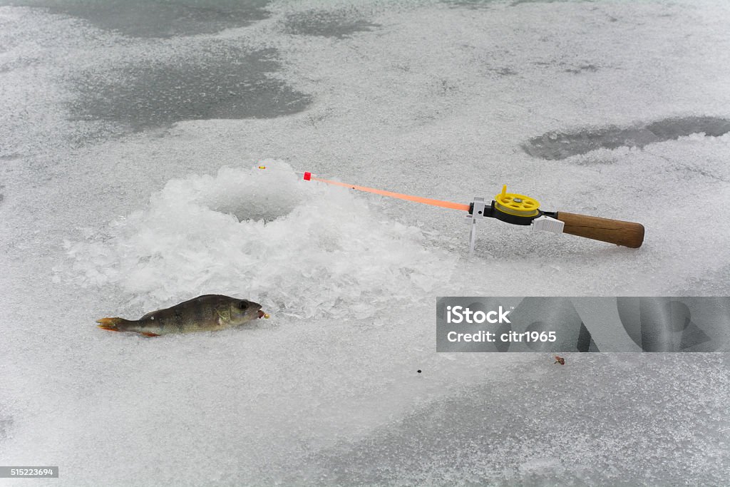 fishing1 fish on ice in winter Fish Stock Photo