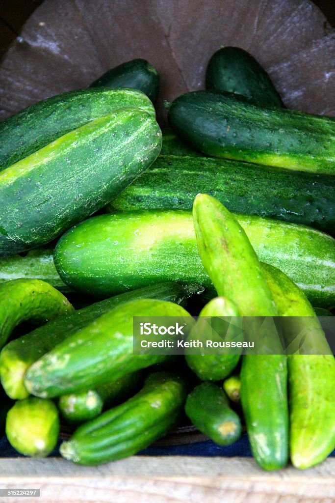 Bushel of Cucumbers Looking into a bushel of cucumbers full of various sized and shaped cucumbers laying on it's side at a local farmer's market. Agricultural Fair Stock Photo