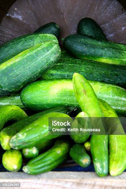 Bushel Of Cucumbers Stock Photo - Download Image Now - Agricultural Fair, Agriculture, Basket