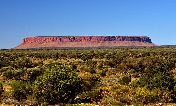 Mount Connor in Australian OutBack Mount Connor is also known as "Fooluru" because tourists mistake it for Ayer's Rock/Uluru northern territory australia stock pictures, royalty-free photos & images
