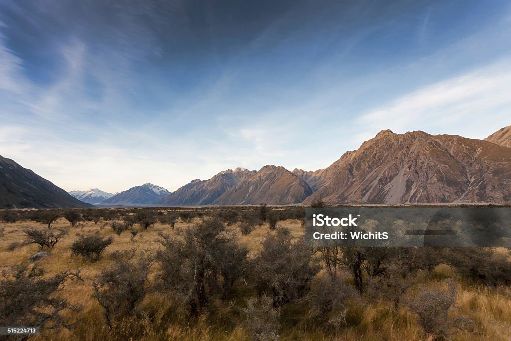 Parque nacional del monte Cook - Foto de stock de Agricultura libre de derechos