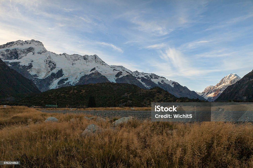 Parque nacional del monte Cook - Foto de stock de Agricultura libre de derechos