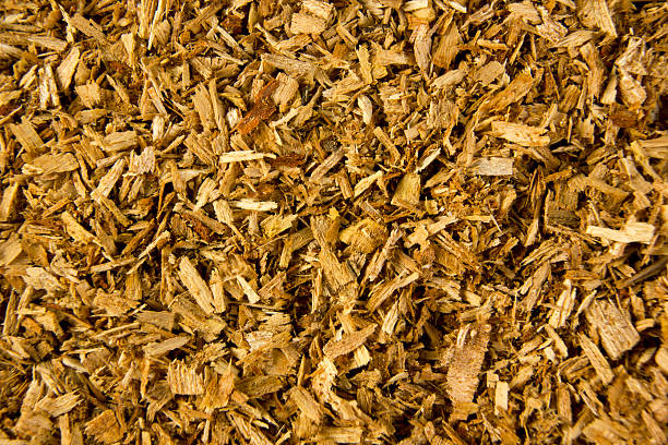 istock Macro view of wooden sawdust and logs 515224912