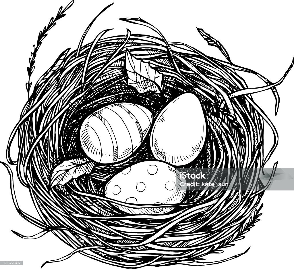 Hand drawn vector illustration - nest with Easter eggs. Hand drawn vector illustration - nest with Easter eggs. Happy Easter! Sketch Bird's Nest stock vector