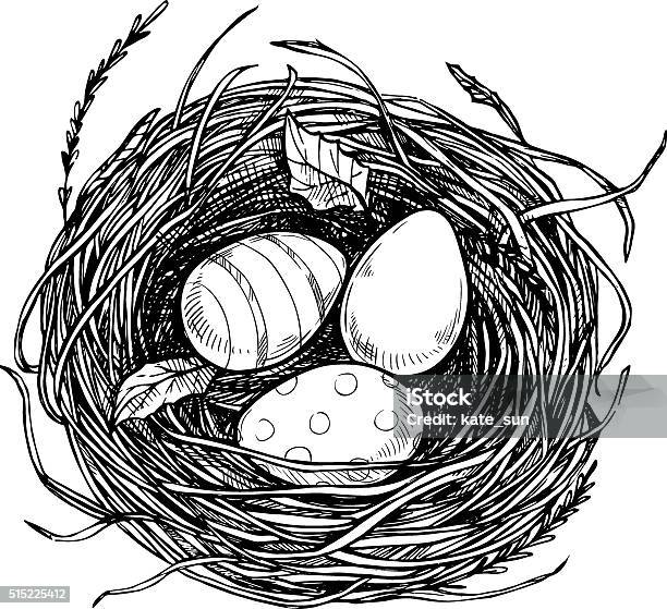 Hand Drawn Vector Illustration Nest With Easter Eggs Stock Illustration - Download Image Now