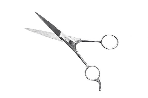 istock Hairdresser or barber silver professional scissors 515225576