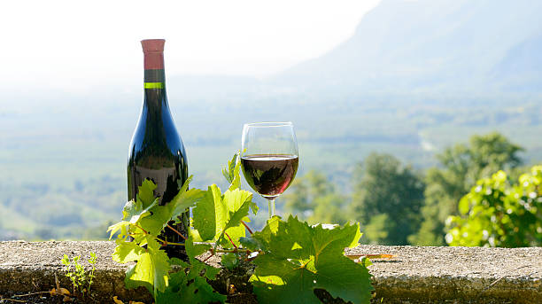istock bottle and a glass of red wine,  on vineyard  background 515225892