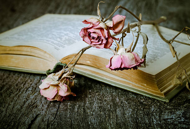 istock Old opened book and dry flower - romantic composition 515225974