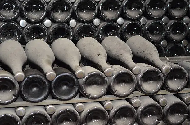 Photo of Maturing in dusty champagne bottles in wine cellars Winery