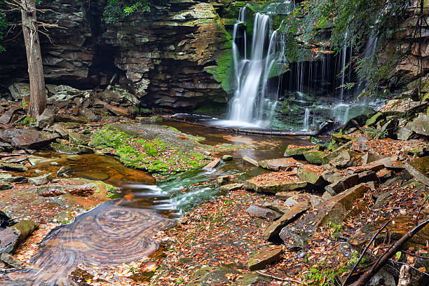 elakala falls-vale de canaan, virgínia ocidental - canaan valley imagens e fotografias de stock